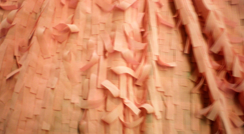 9.Salmon Chiffon Fringe Fabric